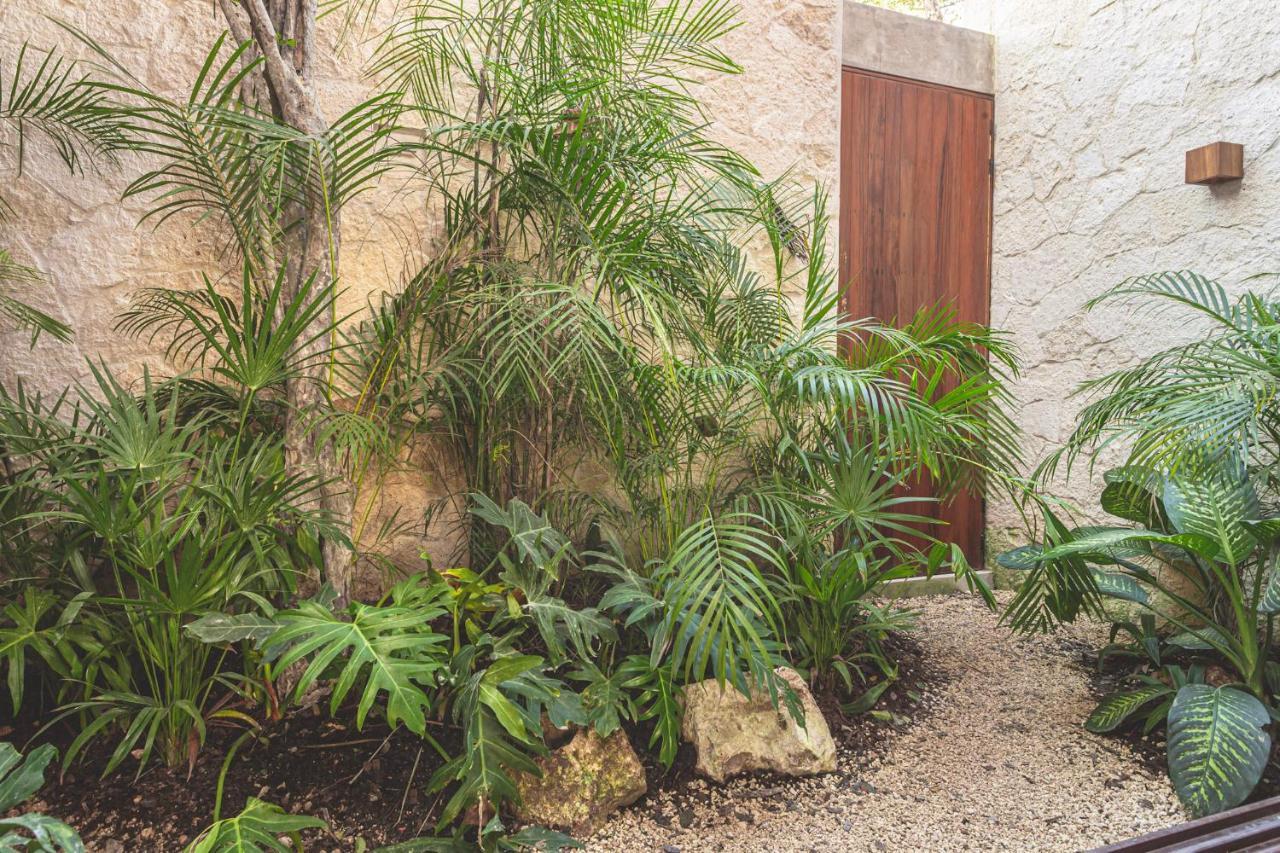 Entorno Tulum - Luxury Villas ภายนอก รูปภาพ