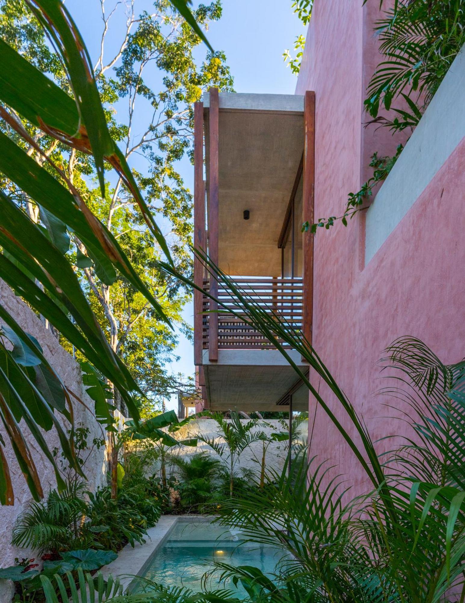 Entorno Tulum - Luxury Villas ภายนอก รูปภาพ